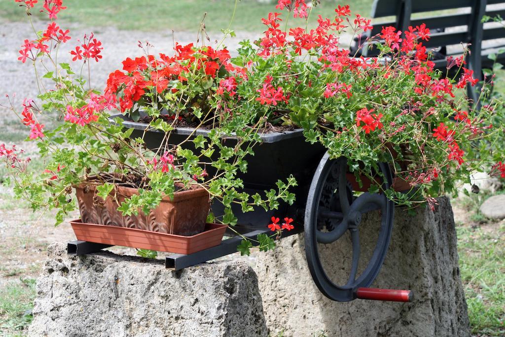 Agriturismo Due Ponti Киани Екстериор снимка